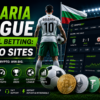 Bulgaria League Football Betting: Best Crypto Sites and Tips 2026